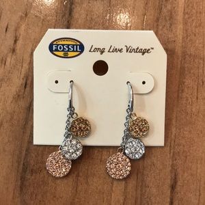 Fossil Drop Earrings. Stainless Steel. Sparkle